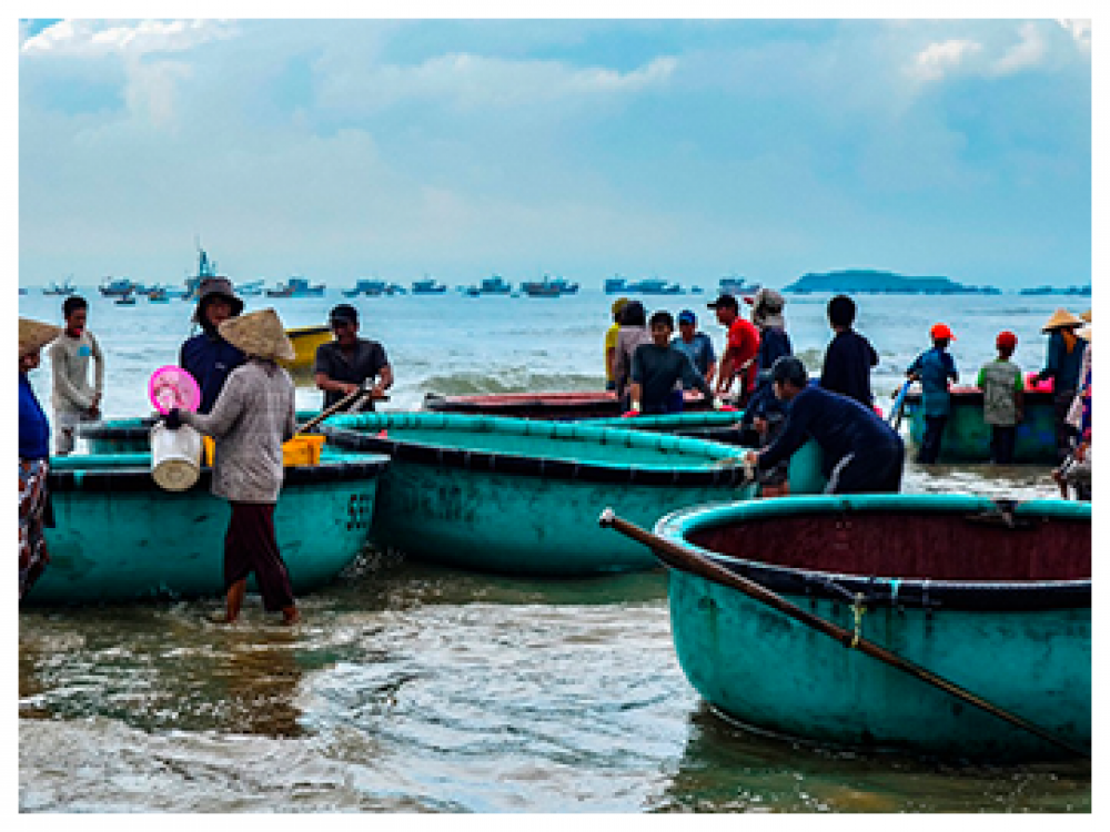 Phát triển bền vững 1