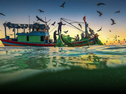 Ngẫm Chuyện đời quanh chén nước mắm